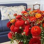 Promenade Maison De Charme 게스트하우스 산레모