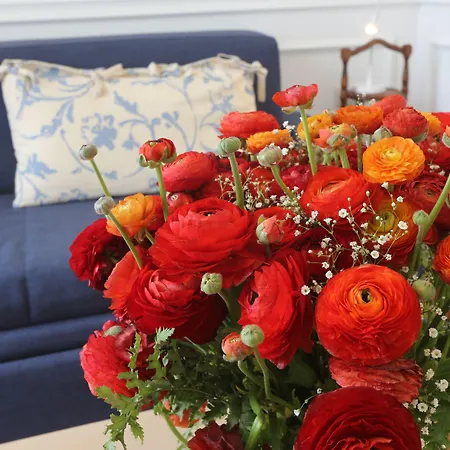 Promenade Maison De Charme Гостьовий будинок Санремо